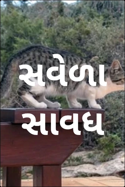 સવેળા સાવધ