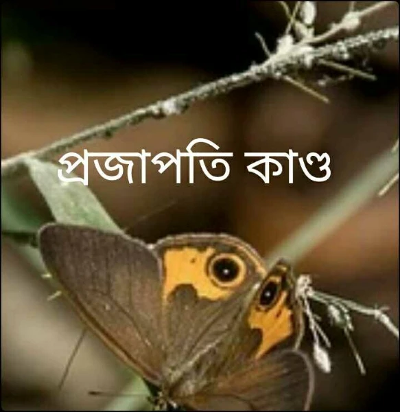 প্রজাপতি কাণ্ড