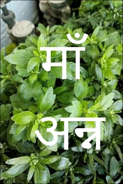 माँ अन्नपूर्णा