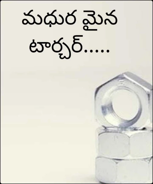మధుర మైన టార్చర్.....
