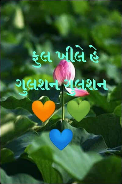 ફુલ ખીલે હે ગુલશન ગુલશન  🧡  💚   💙