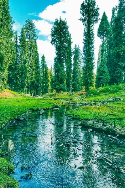 ধূসর পাণ্ডুলিপি ( সেরা কলমকার আওয়ার্ড -6 ) প্রথম ভাগ