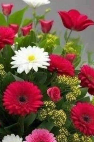 नेहा उर्फ नेहू भाग -1 (सुपर लेखक अवार्ड -6 हेतु)