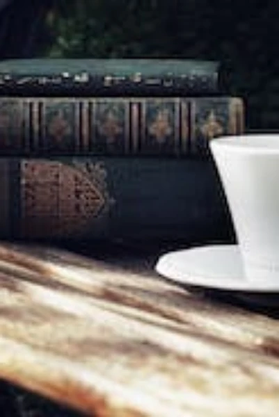 প্রতিলিপির যাত্রা পথ