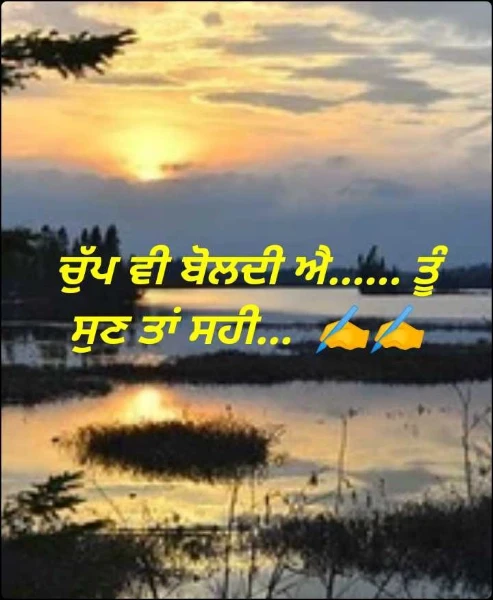 ਚੁੱਪ ਵੀ ਬੋਲਦੀ ਐ...... ਤੂੰ ਸੁਣ ਤਾਂ ਸਹੀ...  ✍️✍️