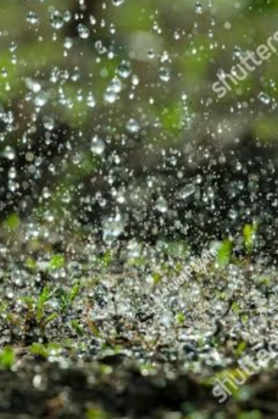 ಮಳೆ ಮಣ್ಣಿನ  ಸೊಗಡು