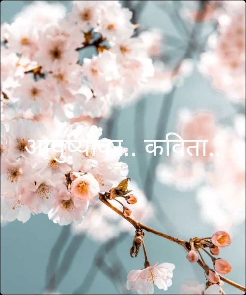आयुष्यावर.. कविता..