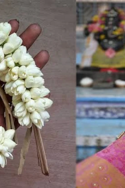 ಮಲ್ಲಿಗೆ ಮಲ್ಲಿ