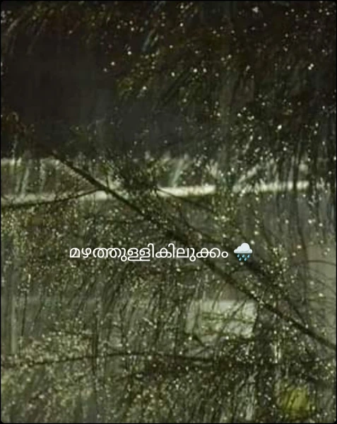 മഴത്തുള്ളികിലുക്കം 🌧️