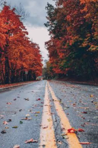 अंतहीन तपस्या  - सुपर लेखक अवार्ड्स - 6 का परिचय