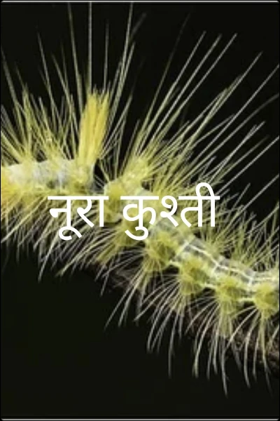 नूरा कुश्ती