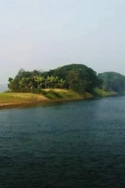 সম্পর্ক ও ভালোবাসা