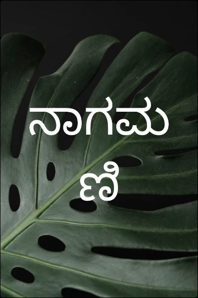 ನಾಗಮಣಿ