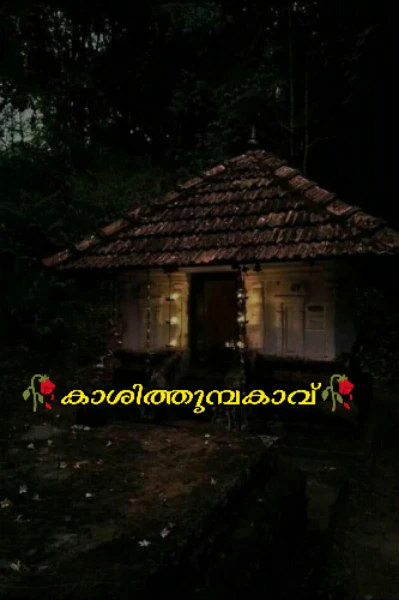 🥀🥀കാശിത്തുമ്പക്കാവ്🥀🥀