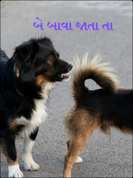 બે બાવા જાતા તા