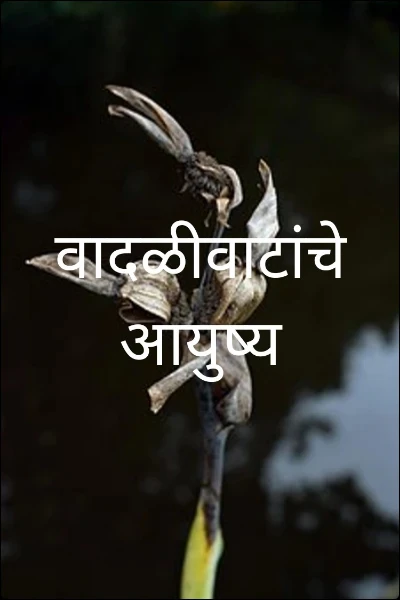 वादळीवाटांचे आयुष्य