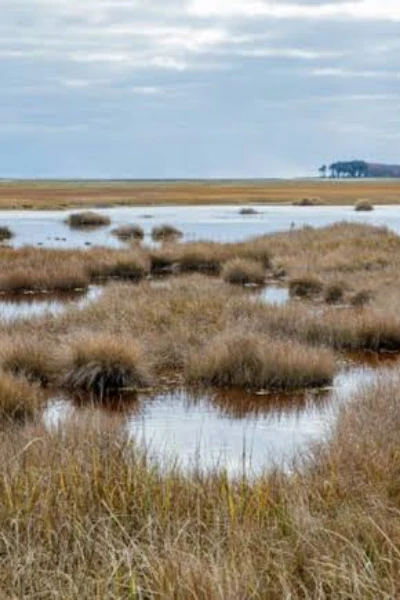 புதை குழி