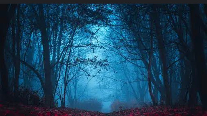 🧟‍♀️रहस्य 🧟 एका रात्रीच...🌘
