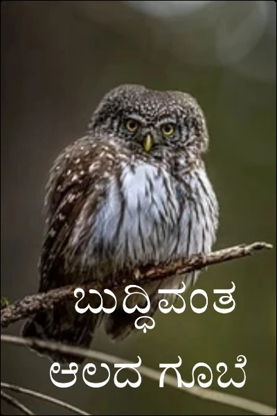 ಬುದ್ಧಿವಂತ ಆಲದ ಗೂಬೆ