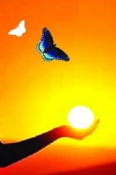 উপপত্নী (কনকিউবাইন)