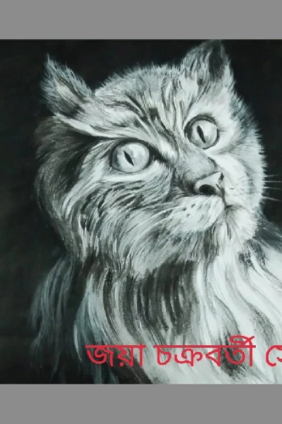ছোটবেলা বড়বেলা