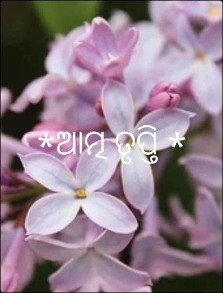 *ଆତ୍ମ ତୃପ୍ତି *