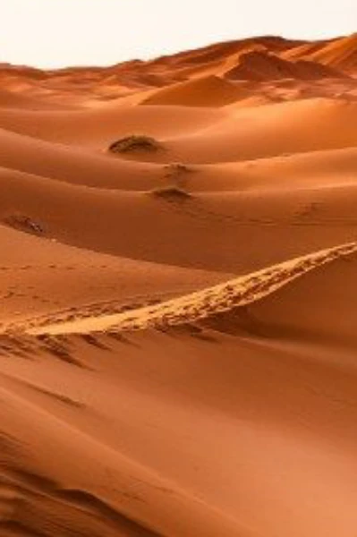 பாலை நிலம்