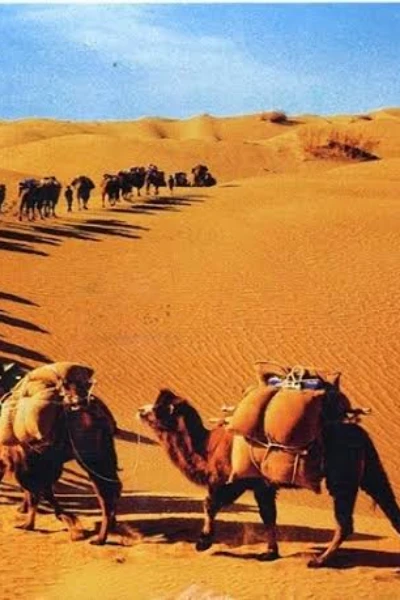 பாலை நிலம்