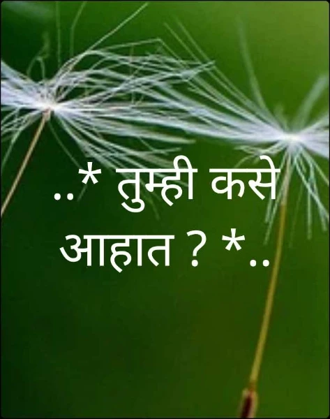 ..* तुम्ही कसे आहात ? *..
