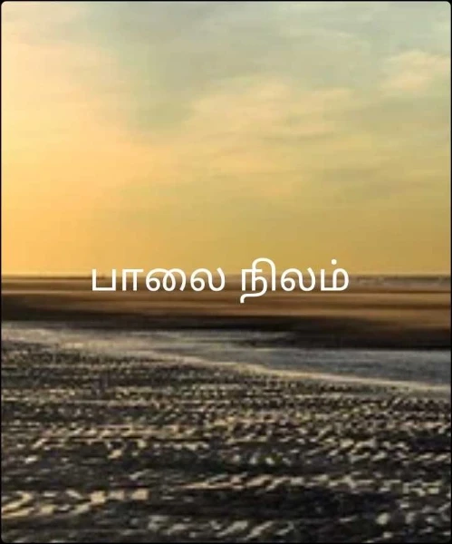 பாலை நிலம்