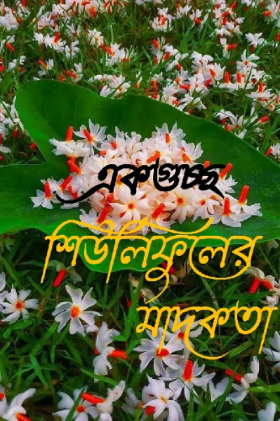 একগুচ্ছ_শিউলিফুলের_মাদকতা ,,,,