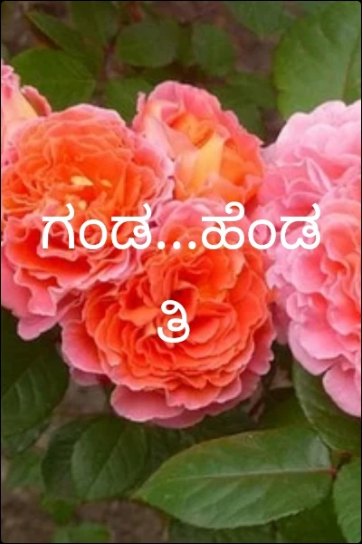 ಗಂಡ...ಹೆಂಡತಿ
