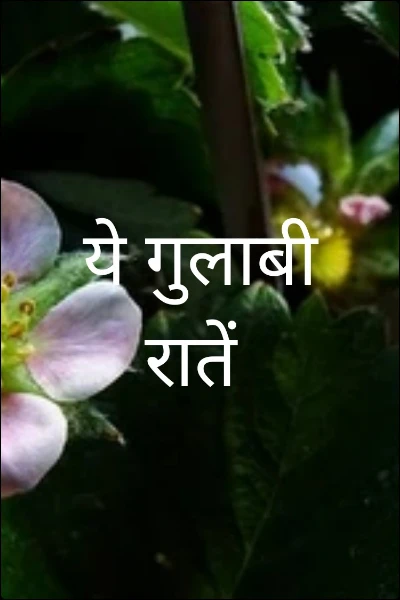 ये गुलाबी रातें