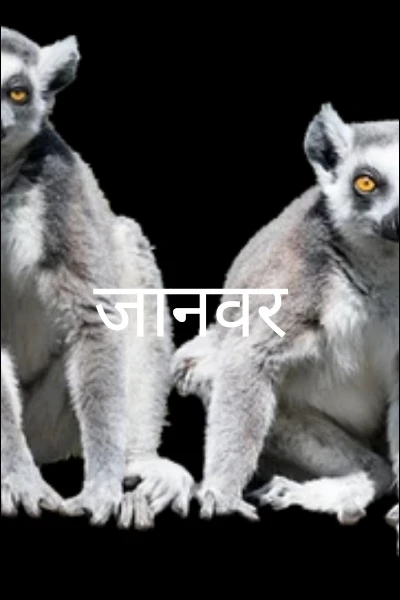 जानवर