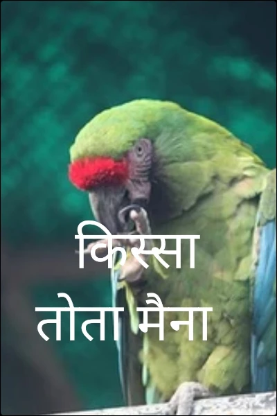 किस्सा तोता मैना
