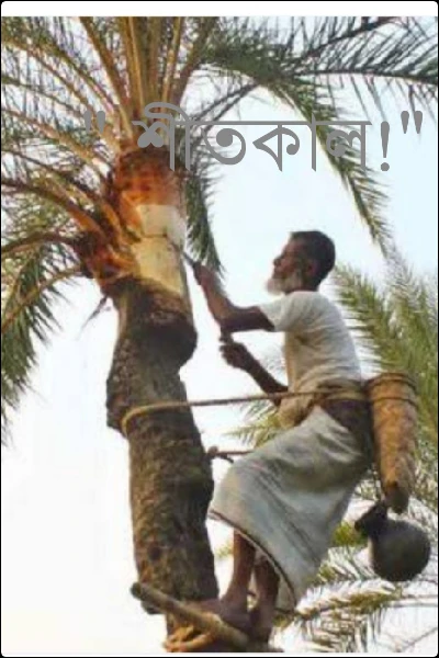 " শীতকাল!"