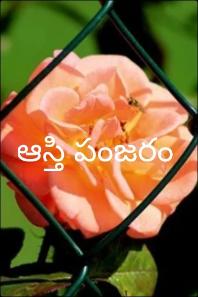 ఆస్తి పంజరం
