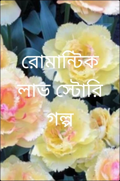 রোমান্টিক লাভ স্টোরি গল্প