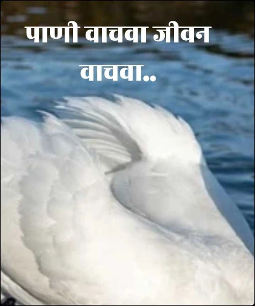 पाणी वाचवा जीवन वाचवा..