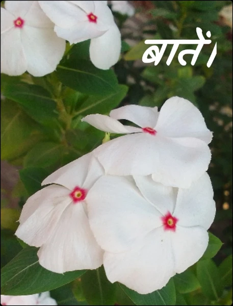 बातें।