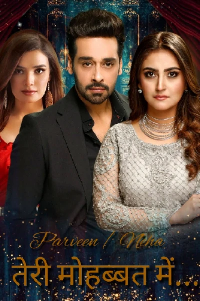 तेरी मोहब्बत में....- 98½