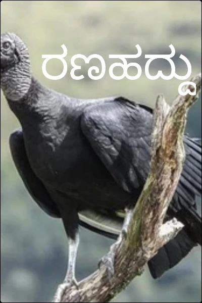 ರಣಹದ್ದು