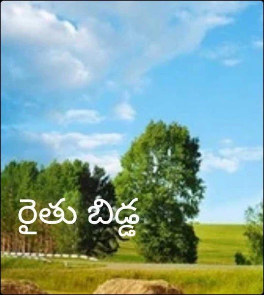 రైతు బిడ్డ