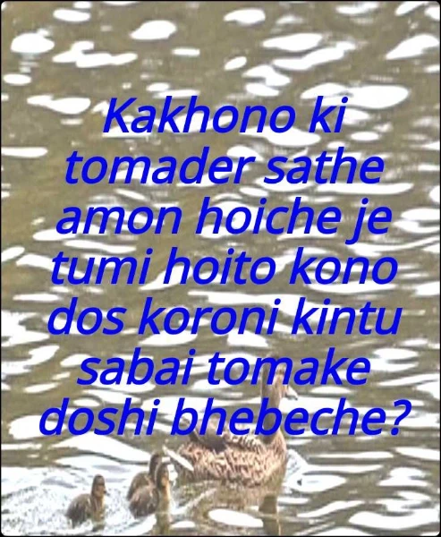 Kakhono ki tomader sathe amon hoiche je tumi hoito kono  dos koroni kintu sabai tomake doshi bhebeche?