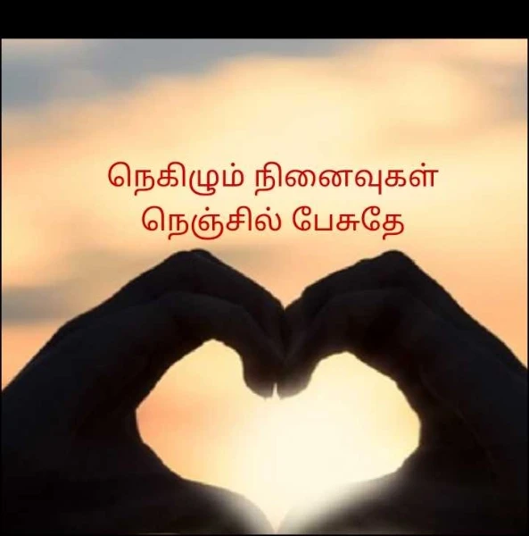 நெகிழும் நினைவுகள் நெஞ்சில் பேசுதே