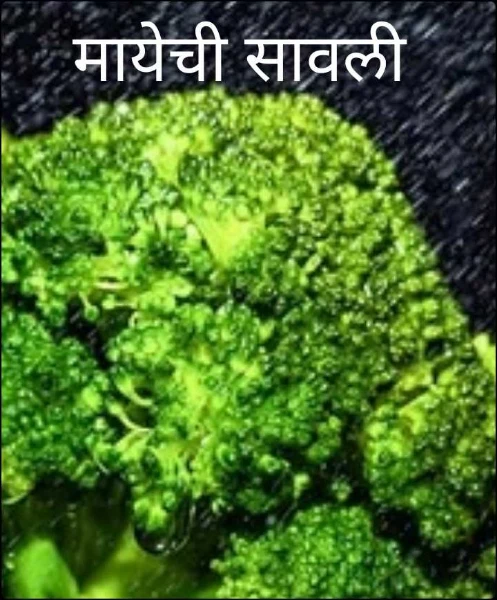 मायेची सावली