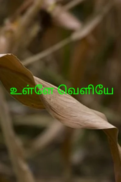 உள்ளே வெளியே