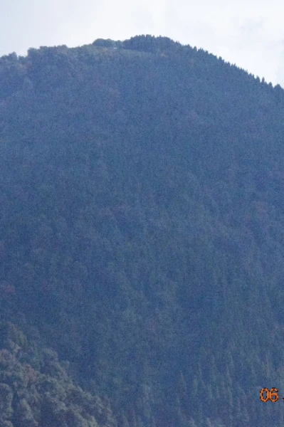 টুং - সোনাদা- ঘুম ( ১ম পর্ব)