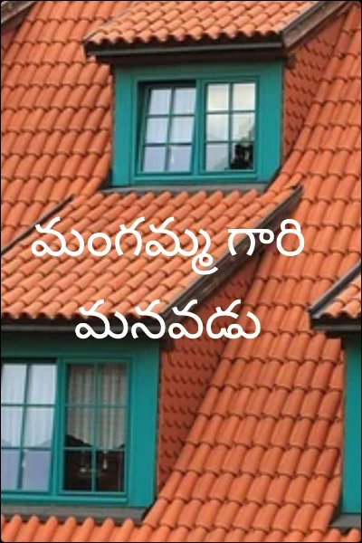 మంగమ్మ గారి మనవడు