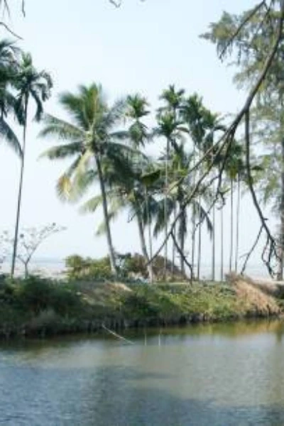 প্রেম  - A Code of Misconduct